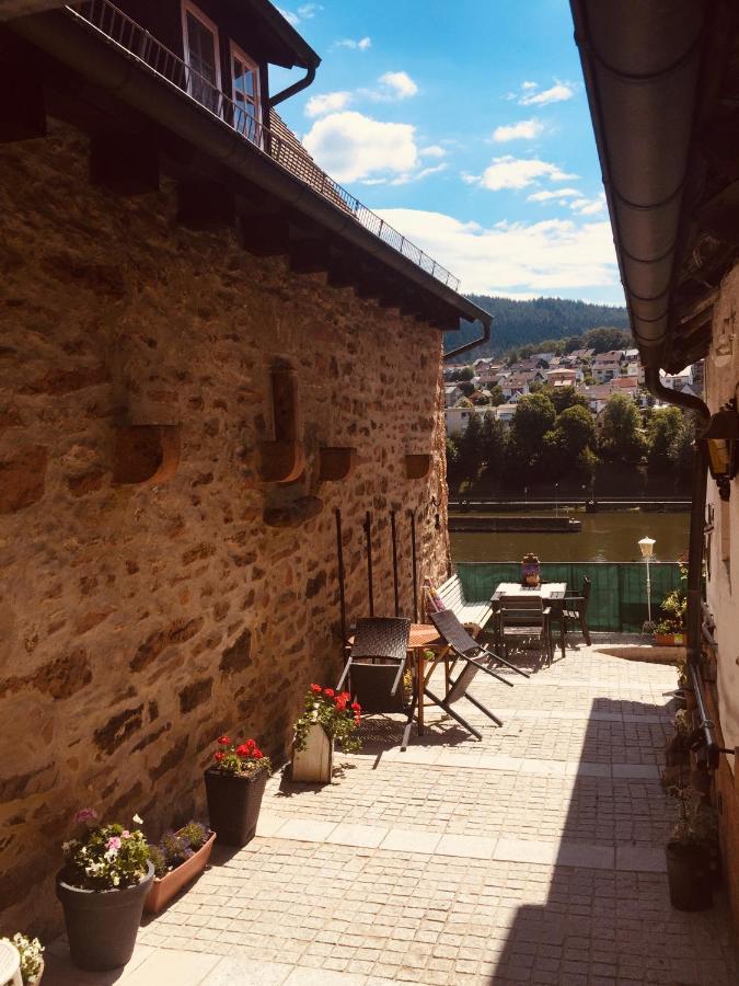Neckarblick,Natur, Altstadt Hirschhorn Ngoại thất bức ảnh