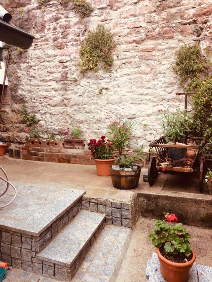 Neckarblick,Natur, Altstadt Hirschhorn Ngoại thất bức ảnh