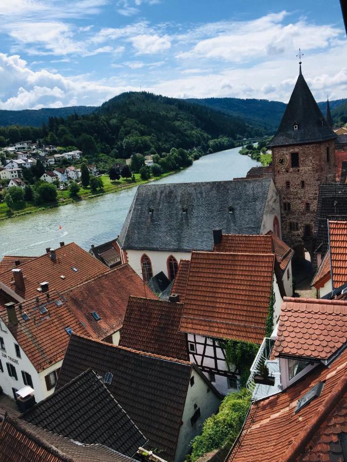 Neckarblick,Natur, Altstadt Hirschhorn Ngoại thất bức ảnh