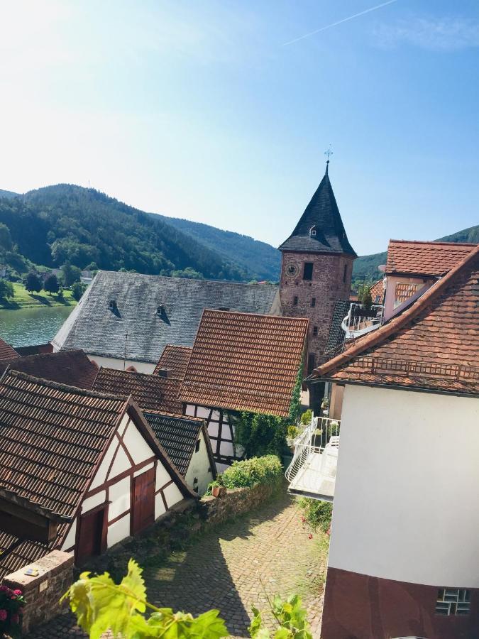 Neckarblick,Natur, Altstadt Hirschhorn Ngoại thất bức ảnh