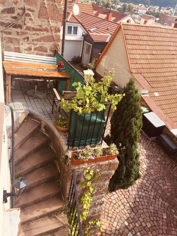 Neckarblick,Natur, Altstadt Hirschhorn Ngoại thất bức ảnh