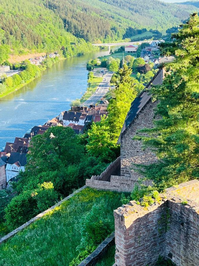 Neckarblick,Natur, Altstadt Hirschhorn Ngoại thất bức ảnh