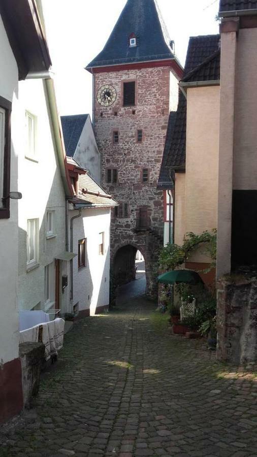 Neckarblick,Natur, Altstadt Hirschhorn Ngoại thất bức ảnh