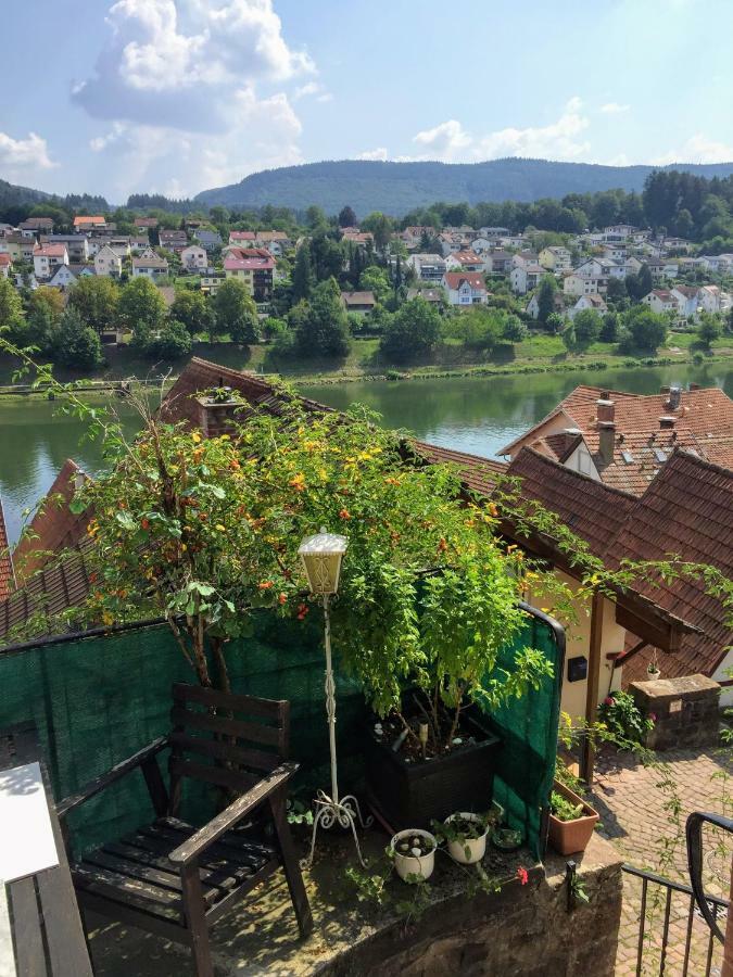 Neckarblick,Natur, Altstadt Hirschhorn Ngoại thất bức ảnh