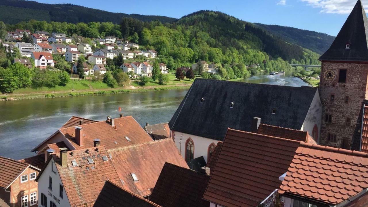 Neckarblick,Natur, Altstadt Hirschhorn Ngoại thất bức ảnh